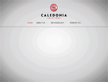Tablet Screenshot of caledoniasolutions.com